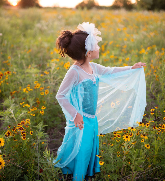 Frozen Elsa Ice Queen Dress with Cape 