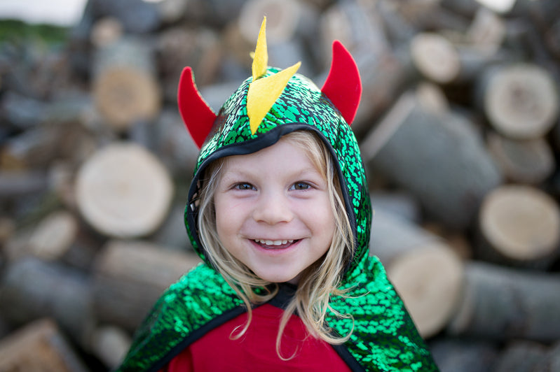 Reversible Dragon Knight Cape