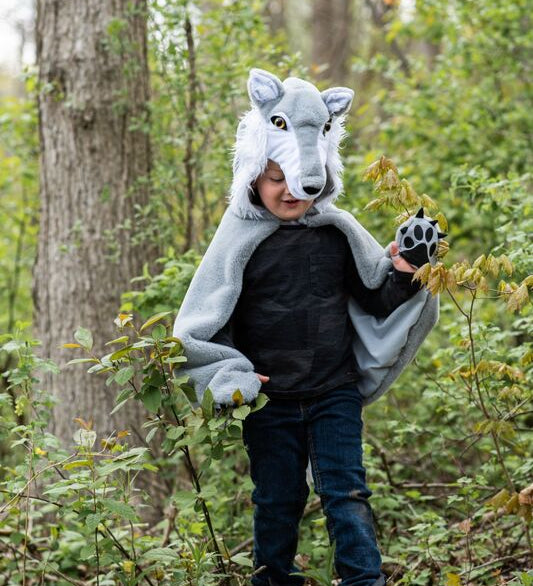 woodland grey wolf little red riding hood