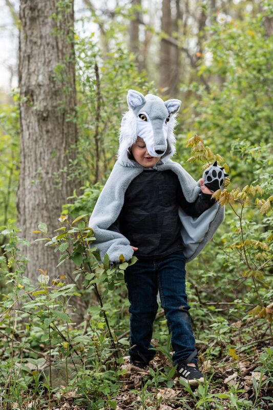 woodland grey wolf little red riding hood