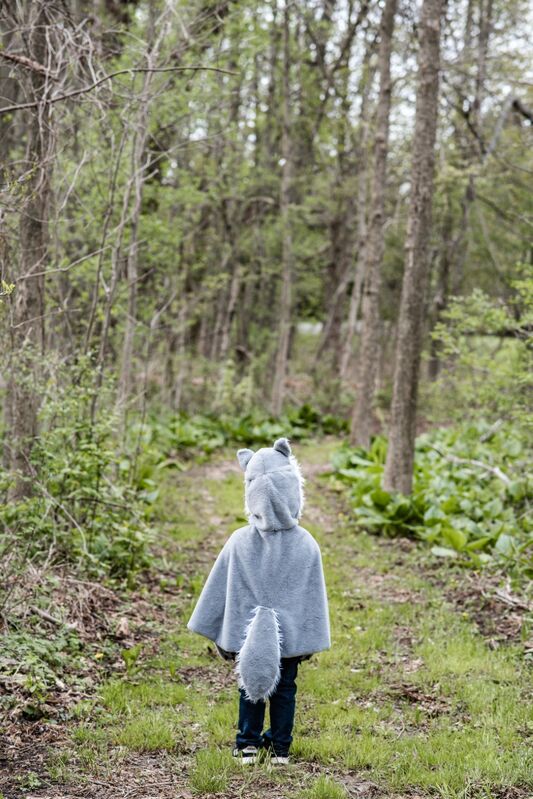 Woodland Storybook Wolf Cape