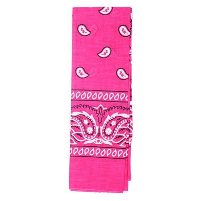 Paisley Bandana - Variety of colours