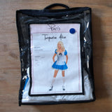 Turquoise Alice Costume