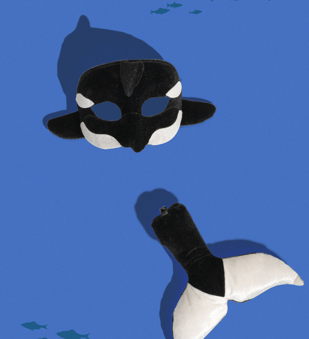 orca animals under the sea