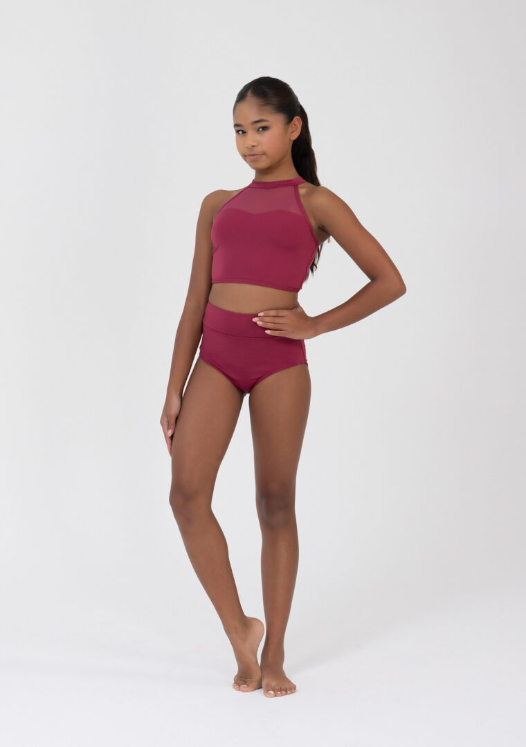 Performance Briefs