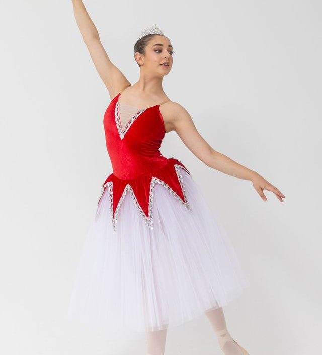 velvet romantic tutu embellished skirt