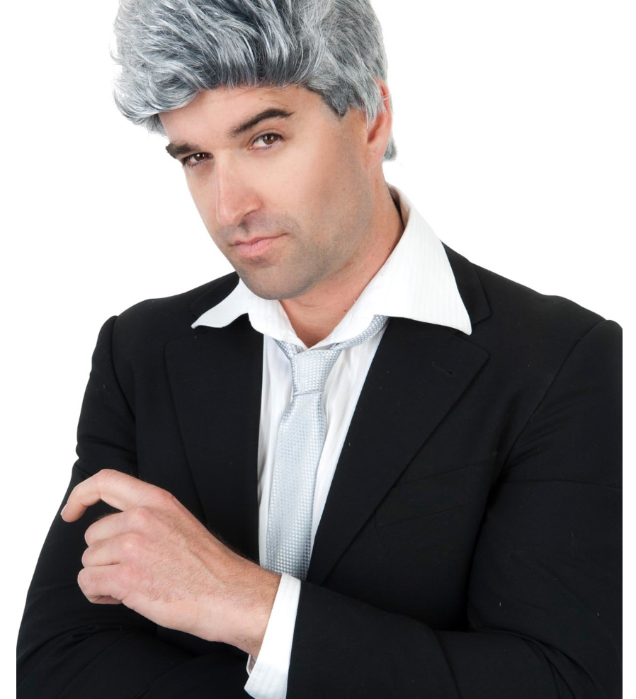 grey 1950s 1960s wig halloween costume