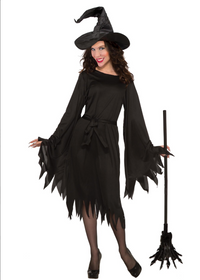 Wicked Witch Costume