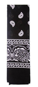 Bandana Paisley