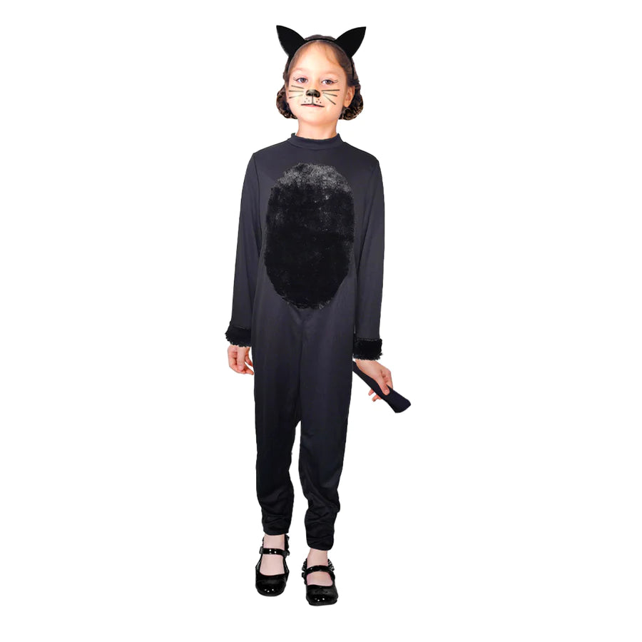 cat.webp