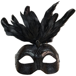 black feathered masquerade mask