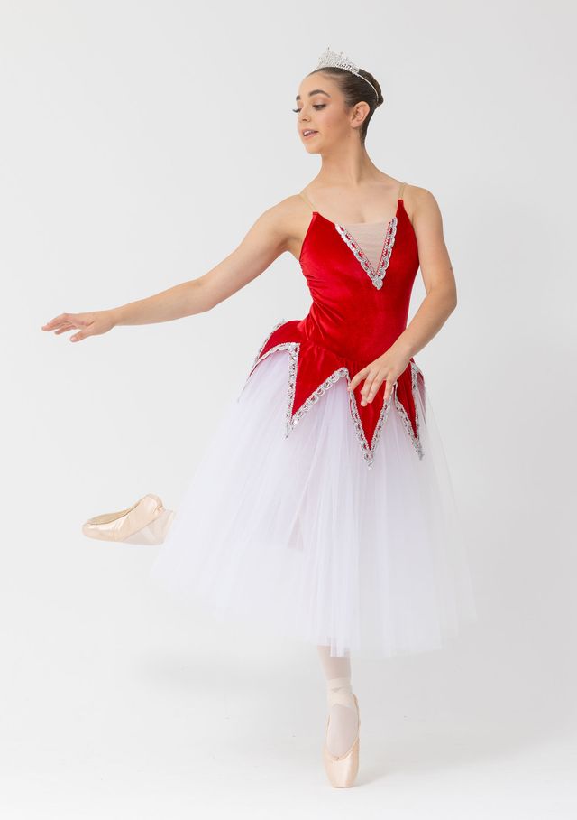 velvet romantic tutu embellished skirt