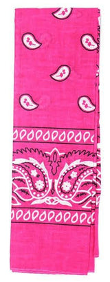 Bandana Paisley