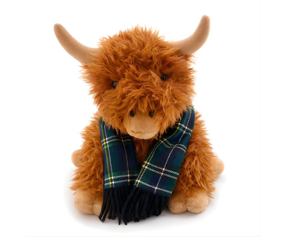 highland cow