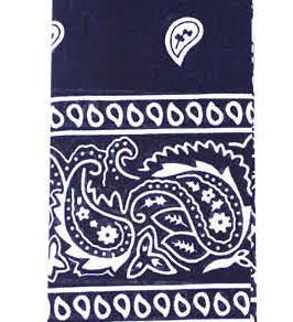 bandana cowboy cowgirl barbie ken western bikie biker punk 80s rock axl rose guns n roses music hippy 70s 60s 1980s 1970s 1960s pirate