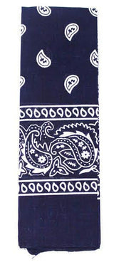 Bandana Paisley