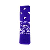 Bandana Paisley