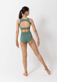 Performance Briefs