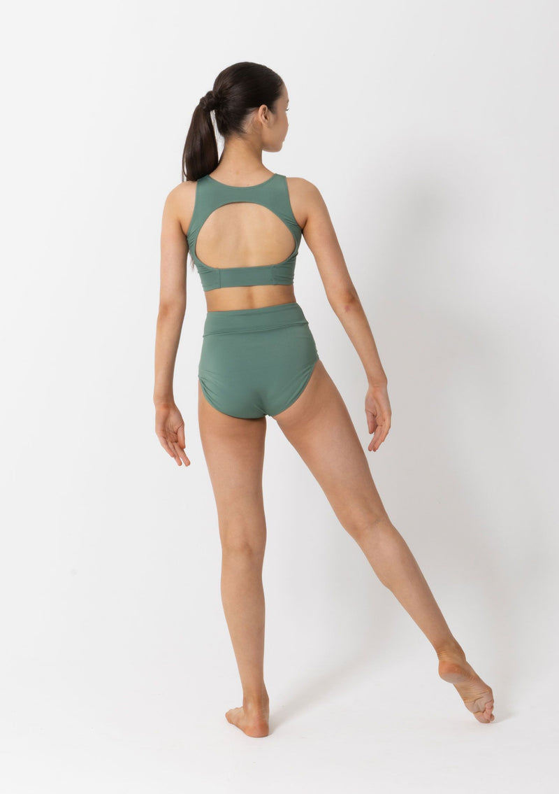 Performance Briefs