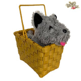 Toto in a Basket