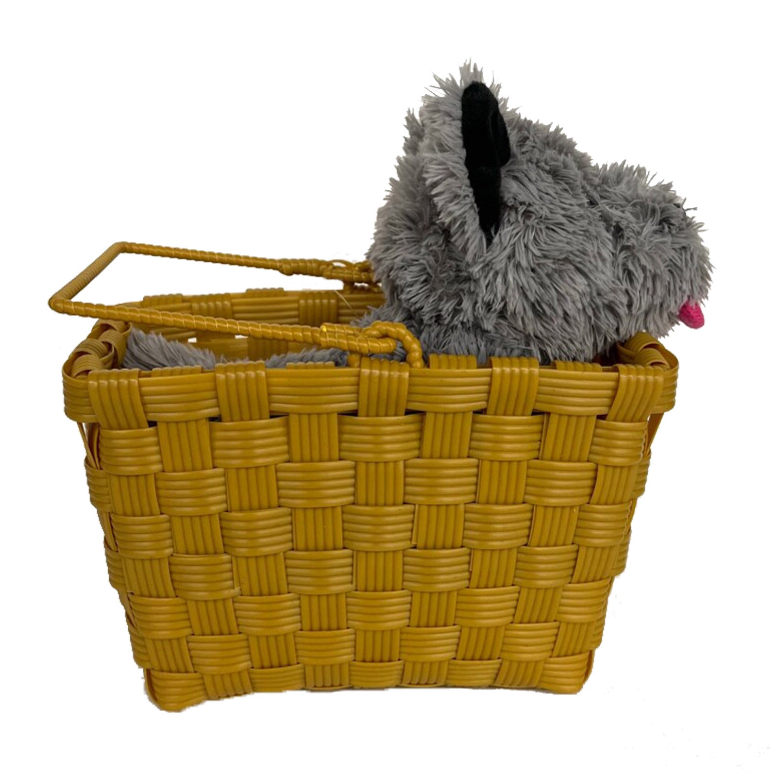 Toto in a Basket