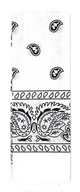 Bandana Paisley