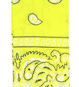 bandana cowboy cowgirl barbie ken western bikie biker punk 80s rock axl rose guns n roses music hippy 70s 60s 1980s 1970s 1960s pirate