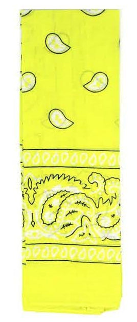 bandana cowboy cowgirl barbie ken western bikie biker punk 80s rock axl rose guns n roses music hippy 70s 60s 1980s 1970s 1960s pirate