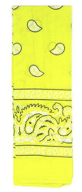 Bandana Paisley