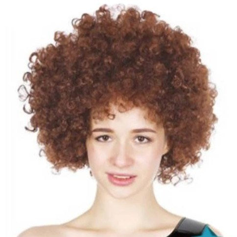 brown afro 70 80 party costume wig