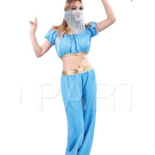 Adult Arabian Princess Costume - Upstage Dancewear