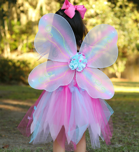 Pink Butterfly Dress & Wings with Wand