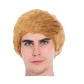 Mens Short Wig