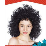 Long Curly Wig
