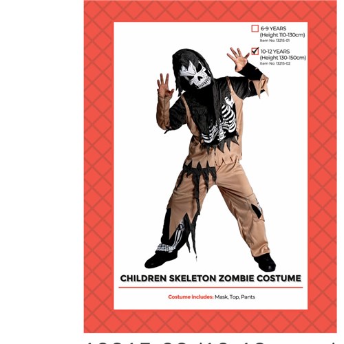 Skeleton Zombie Costume
