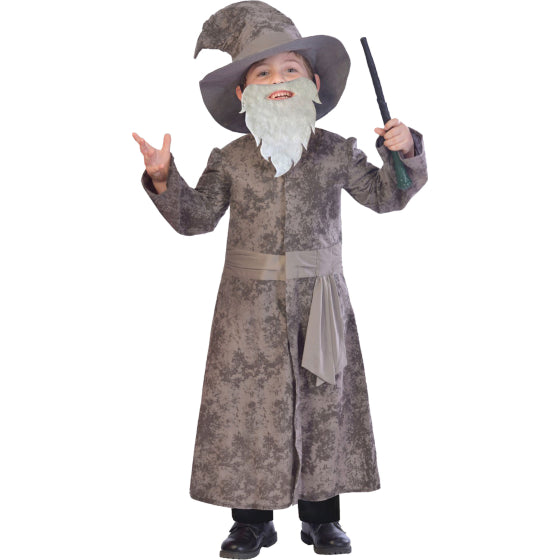 dumbledore gandolf costume child wizard bookweek books book week fantasy halloween