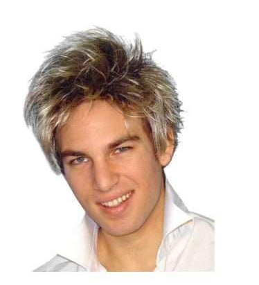 mens 1980s shaggy wig 