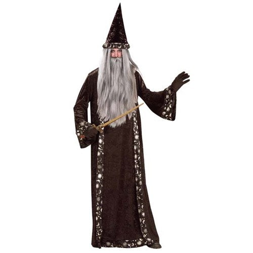 Mr Wizard fantasy merlin dumbledore gandalf halloween harry potter medieval   