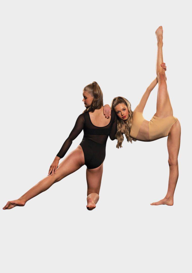 black long sleeve mesh panel leotard costume