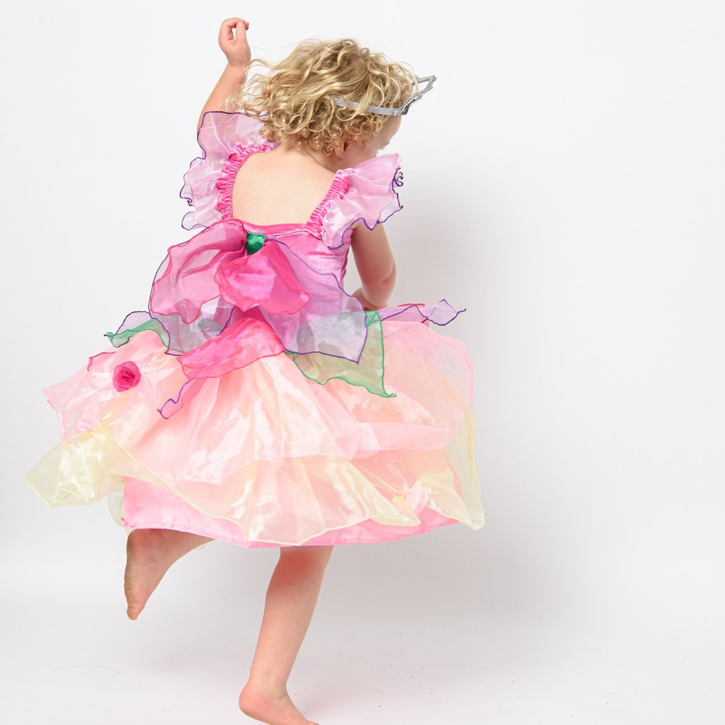 Pink Paris Daisy Deluxe Fairy Dress