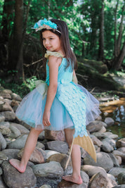 mermaid tutu Dress with Tail