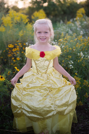 Deluxe Belle Gown disney