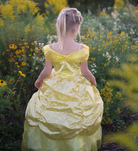 Deluxe Belle Gown disney