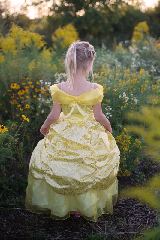 Deluxe Belle Gown disney