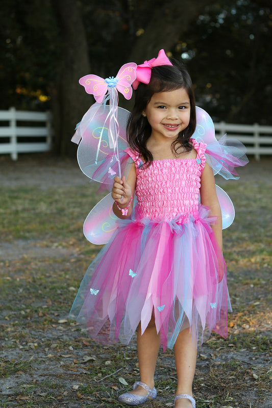 Pink Butterfly Dress & Wings with Wand