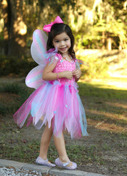 Pink Butterfly Dress & Wings with Wand