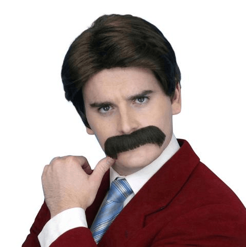 Wig -70s newsreader  the anchorman ron burgundy Dancewear Australia