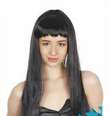 Long Straight  Wig with Fringe - Black