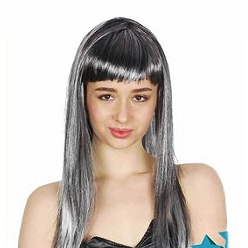 Long Straight  Wig with Fringe - Grey