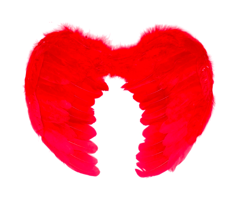 Angel Wings devil halloween bird costume fancy dress feather party 